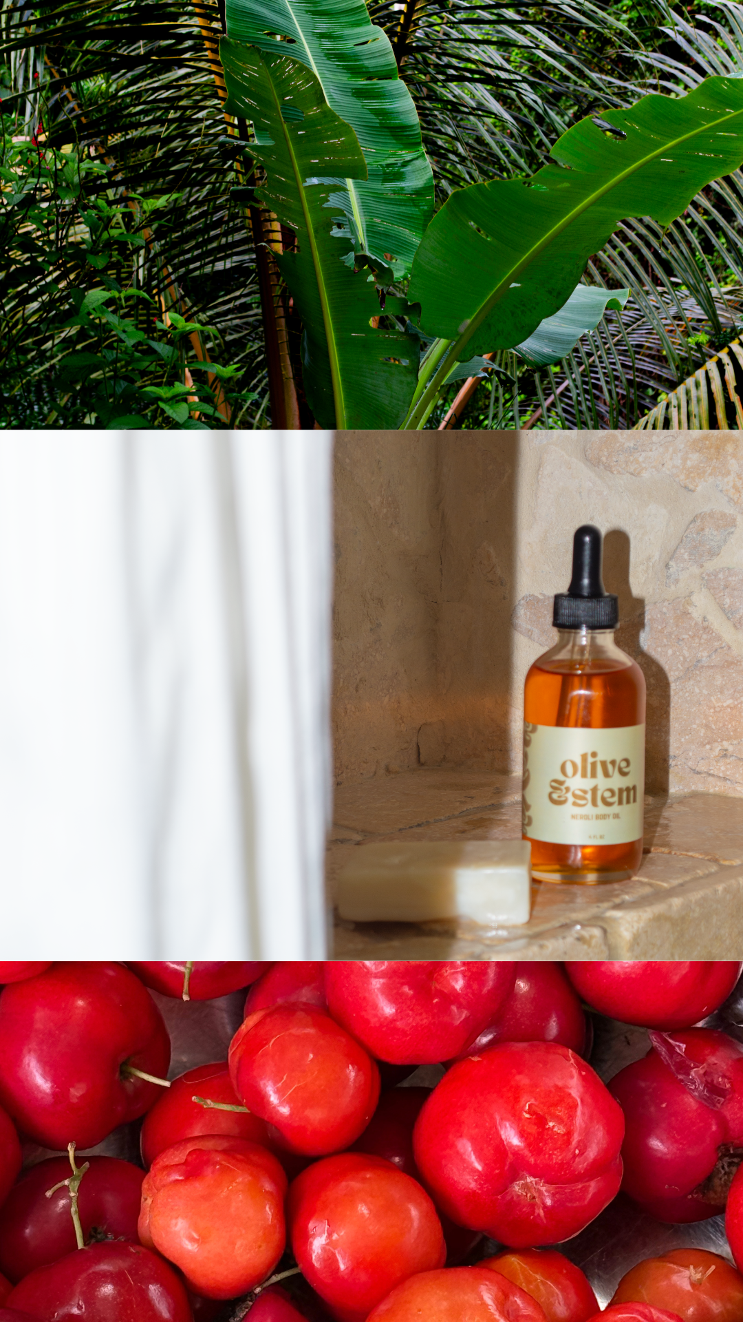 Organic Body Bar Collection